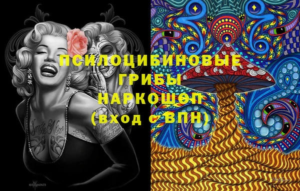 амф Алексин